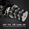 Fishing Reel, World's Fastest 10.5:1 Gear Ratio/Deadbolt Baitcasting Reel, 10+1 Shielded Stainless Steel BB